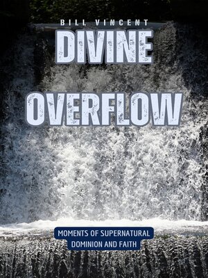 cover image of Divine Overflow